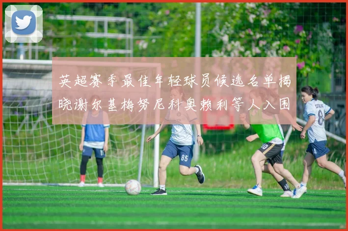英超赛季最佳年轻球员候选名单揭晓谢尔基梅努尼科奥赖利等人入围