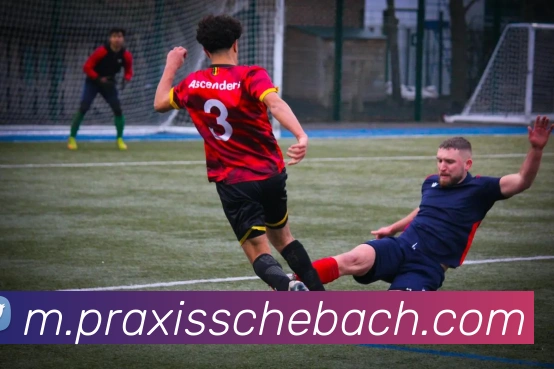 未来规划